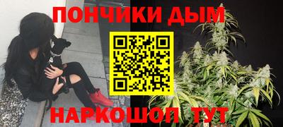 прущие грибы Бийск