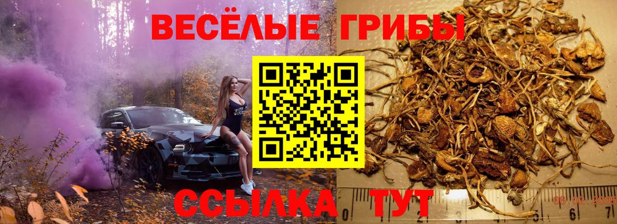 Псилоцибиновые грибы Cubensis Джанкой